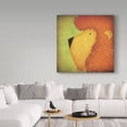 thumbnail image 3 of Trademark Fine Art 'Lion WOW' Canvas Art by Ryan Fowler, 3 of 3