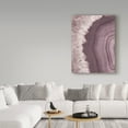 thumbnail image 3 of Trademark Fine Art 'Agate Geode I Plum' Canvas Art by Wild Apple Portfolio, 3 of 3