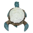 thumbnail image 6 of Nautical Sea Turtle With White Clam Shells In Faux Distressed Wood Finish Statue, 6 of 6