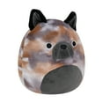 thumbnail image 2 of Squishmallows 8" French Bulldog - Ballis, The Stuffed Animal Toy, 2 of 7