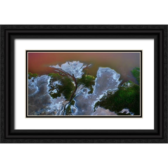 Chang, Phillip 32x20 Black Ornate Wood Framed with Double Matting Museum Art Print Titled - The big flower
