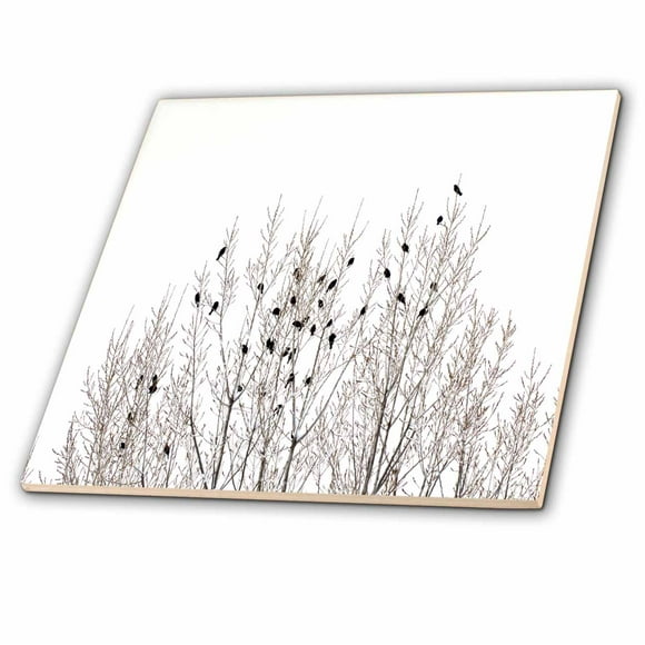 3dRose Photograph Of The Top Of A Winter Tree With Birds - Ceramic Tile, 4-inch