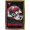 Gold Framed Version, variant on NFL Tampa Bay Buccaneers - Neon Helmet 23 Wall Poster, 22.375" x 34"