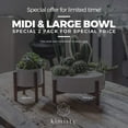 thumbnail image 3 of Set 2 Mid Century Modern Succulent Planter Large Bowl and Midi, Pots with Wood Stand and Hidden Saucer, Round Ceramic White Planters, Cactus and Plant Container with Drainage, 3 of 8