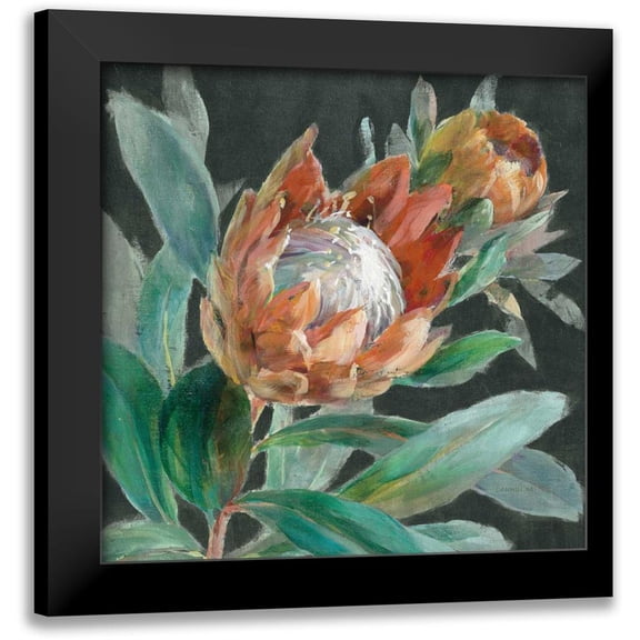 Nai, Danhui 12x12 Black Modern Framed Museum Art Print Titled - Deep Tropical Protea Crop