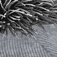 thumbnail image 4 of Beechfield Big Girls Snowstar Duo Extreme Winter Hat, 4 of 4