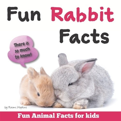 Pre-Owned Fun Rabbit Facts: Fun Animal Facts for kids (Bunny FACTS BOOK WITH ADORABLE PHOTOS) PET LOVERS! (Paperback)