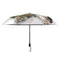 thumbnail image 3 of Cat Get Out From Wall Hole All Weather Umbrella Triple Folding Parasol 6 Ribs UV Protection Portable, 3 of 8