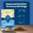 thumbnail image 4 of Blue Buffalo Dog Food Puppy Chicken & Brown Rice 15 Lb, 4 of 7