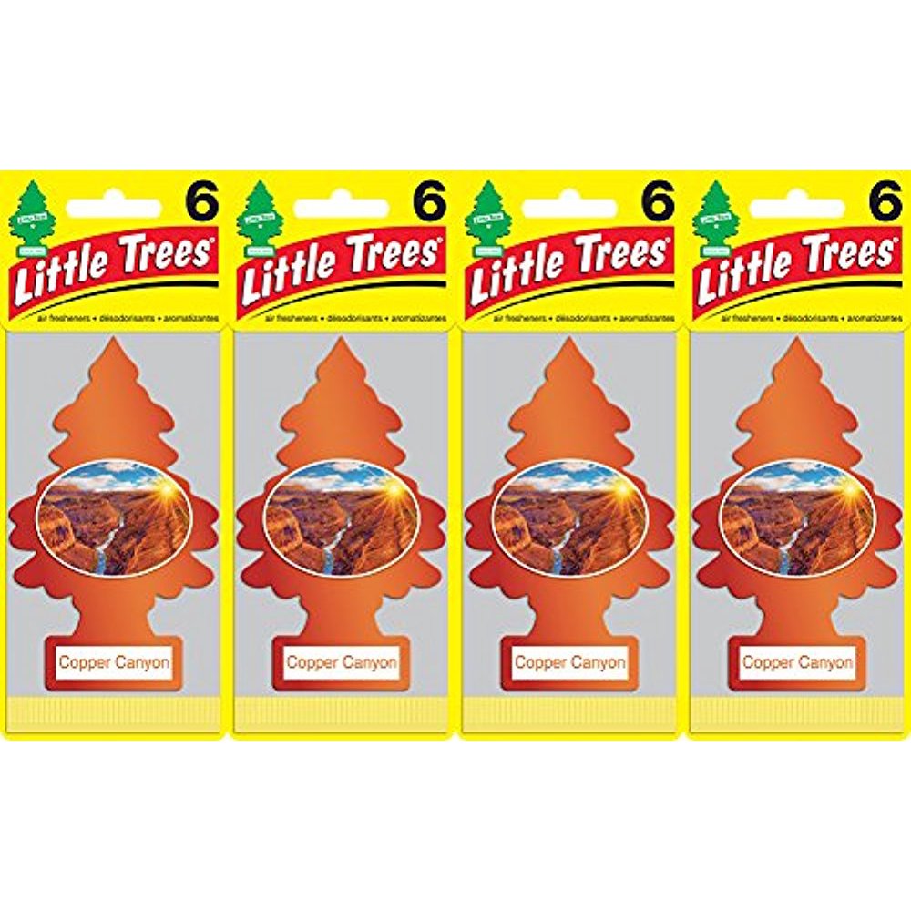 Little Trees Copper Canyon Air Freshener, (Pack of 24)