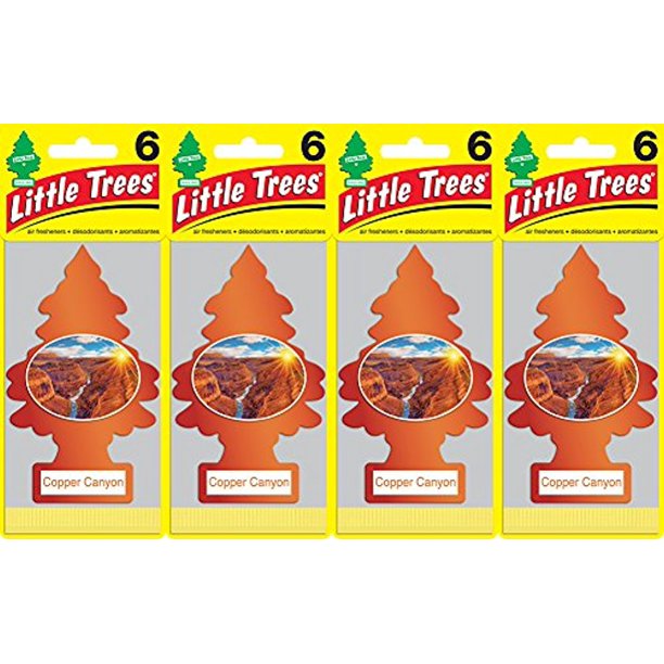 Little Trees Copper Canyon Air Freshener, (Pack of 24)
