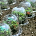 thumbnail image 4 of DECORNIJIA 2Pcs Garden Seedling Protection Cover Plastic Insulation For Gardeners, 4 of 8
