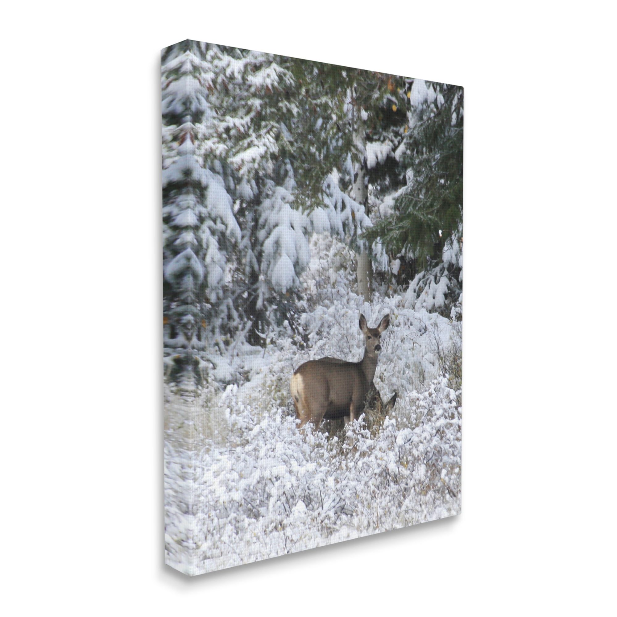 Stupell Industries Deer in Winter Trees Animals & Insects Photography Gallery Wrapped Canvas Print Wall Art, 36 x 48