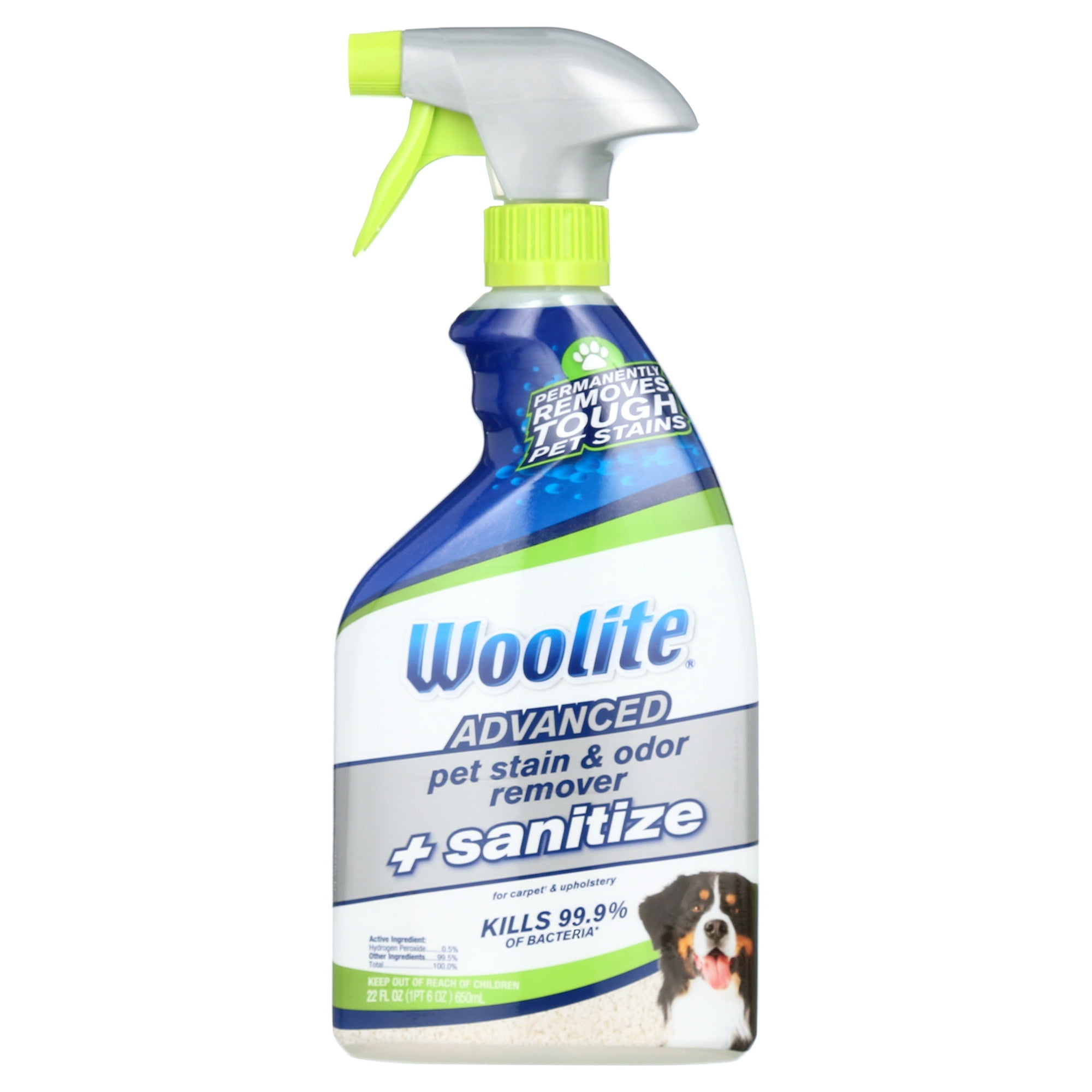 Woolite Advanced Pet Stain & Odor Remover + Sanitize Formula, 22 oz. (11521)
