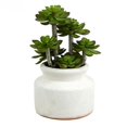 thumbnail image 1 of Vickerman FE181701 Pot en Céramique Rond pour Succulentes Vertes 11 Po., 1 of 2