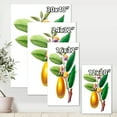 thumbnail image 4 of Designart ' Ancient Fruits I ' Farmhouse Canvas Wall Art Print, 4 of 4
