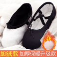 thumbnail image 1 of Zapatillas de ballet de terciopelo para adultos, suela dividida para niños, zapatillas de Ballet suaves para practicar Danza, zapatillas rosas y de carne, 1 of 5