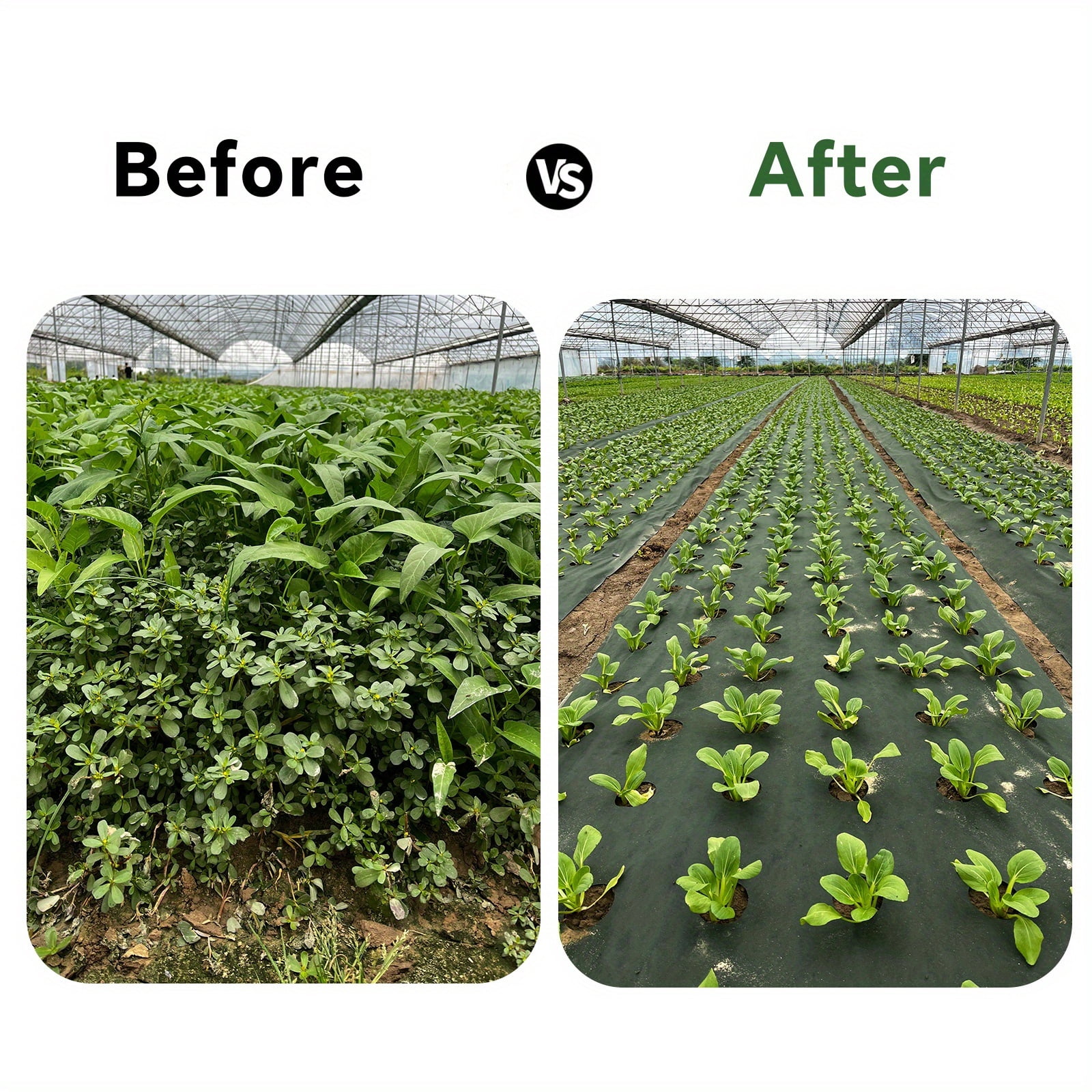 Green & Black Double-Layer PP Garden Weed Barrier Fabric, Pre-Punched 3.15" Holes, Breathable, Water Permeable & Non-Waterlogging, Weed Suppression, Moisture Retention, Multiple Sizes for Lawns