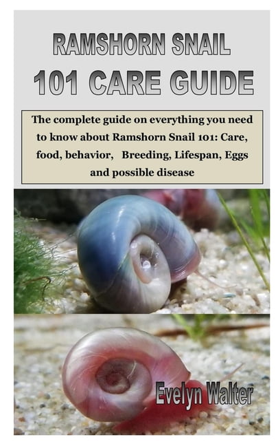 Ramshorn Snail 101 Care Guide : The complete guide on everything you need  to know about Ramshorn Snail 101: Care, food, behavior, Breeding, Lifespan,  Eggs and possible disease (Paperback) - Walmart.com