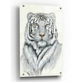 thumbnail image 1 of Epic Art 'White Tiger I' by Tim O'Toole, Acrylic Glass Wall Art, 24"x36", 1 of 3