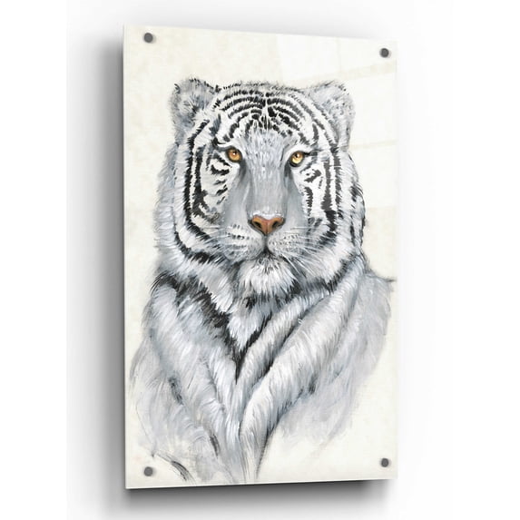 Epic Art 'White Tiger I' by Tim O'Toole, Acrylic Glass Wall Art, 24"x36"