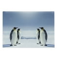 thumbnail image 1 of Sea Animals Cutting Board, 2 Pairs of Penguins Facing Each Other at South Sunny Antarctica, Decorative Tempered Glass Cutting and Serving Board, Large Size, Purple Grey Black White, by Ambesonne, 1 of 1