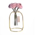 thumbnail image 4 of Tubo de ensayo de vidrio colgante nórdico de ins, estante de flores de metal hidropónico de hierro forjado, arreglo de flores, adornos de decoración de escritorio para el hogar, 4 of 5