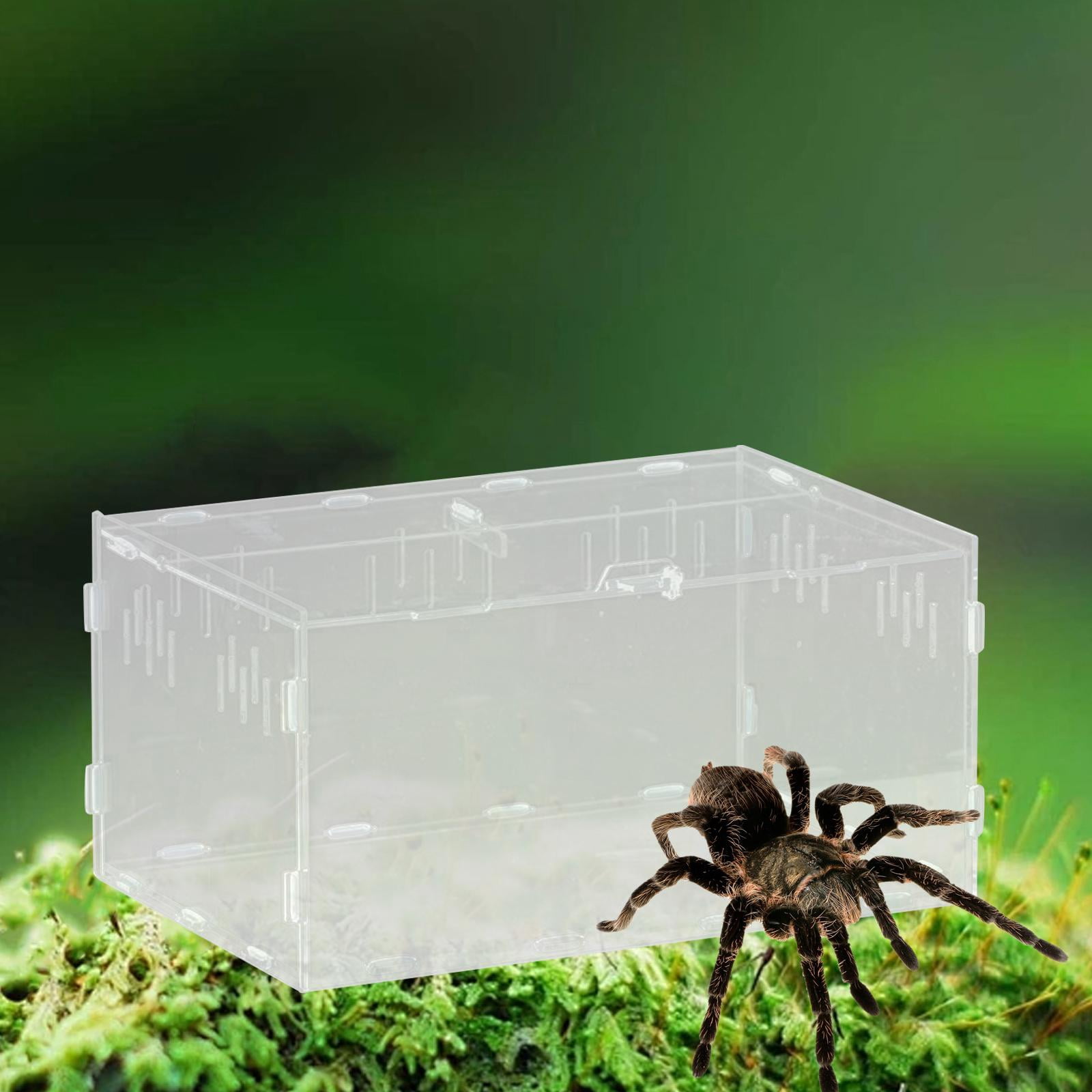Fzaqwen Reptile Breeding Box Acrylic Snake Cage Tank with Basin Animal Habitat Hatching Case Turtle Transport Container Pet Houses Suitable for Home Use Repti 30x20x15cm