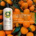 thumbnail image 3 of Acondicionador Herbal Essences Frescura Mandarina, Jengibre & Menta 400 ml, 3 of 5