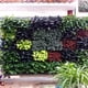 thumbnail image 5 of Injueey Plantas artificiales Hojas falsas Ramo de hojas Hojas de plástico Planta de simulación Muebles Hogar Oficina Decoraciones para el hogar Type2 NO2 Injueey HA0178-06, 5 of 6