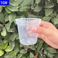 thumbnail image 3 of Clear Nursery Pots for Easy Monitoring & Transplanting - Sturdy & Reusable!, 3 of 9