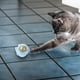 thumbnail image 2 of Juguete giratorio de bolas de catnip con nueces para la limpieza de dientes, 2 of 3