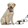 thumbnail image 5 of Ludlz Stainless Steel Dog Bowl with Rubber Base for Small/Medium/Large Dogs, Pets Feeder Bowl and Water Bowl Perfect Choice, 5 of 7