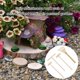 thumbnail image 2 of 4pcs Miniature Garden Rake Set Wood Tools for Desktop and Home Ornamentation Professional Sandbox Accessories, 2 of 5