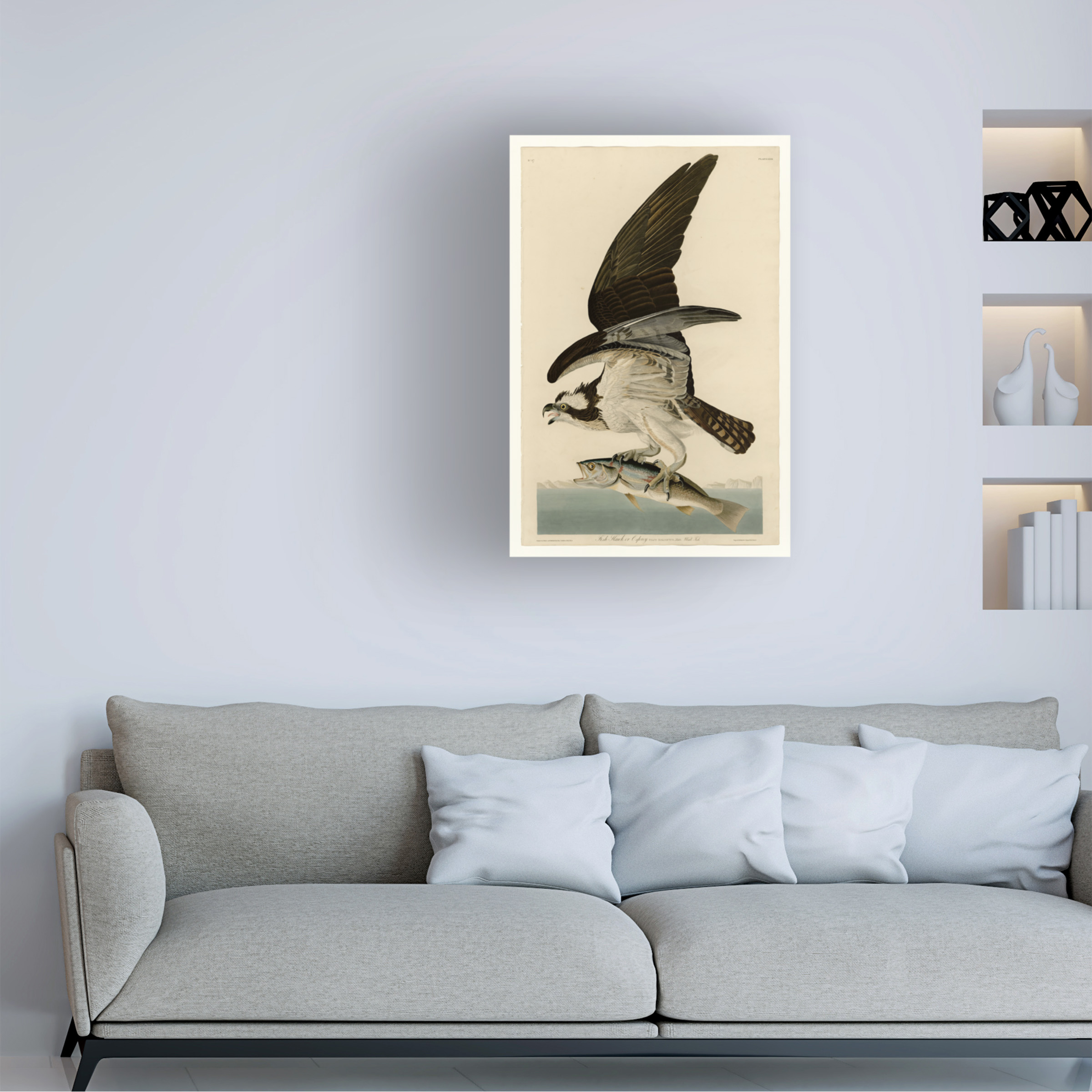 Trademark Fine Art Audubon Fish Hawk Or Osprey Plate 81 Canvas Wall Art - 30x47