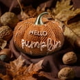 thumbnail image 6 of Ayieyill Fall Decorations for Home, Pumpkin Decor for Thanksgiving Decoration, Autumn Pumpkin Table Decor for Thanksgiving Home Decor, 6 of 8