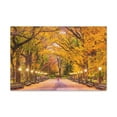 thumbnail image 3 of Orange Tree Autumn Park Nature Wilderness Photography Canvas Wall Art for Home Decor Ready-to-Hang, 3 of 18
