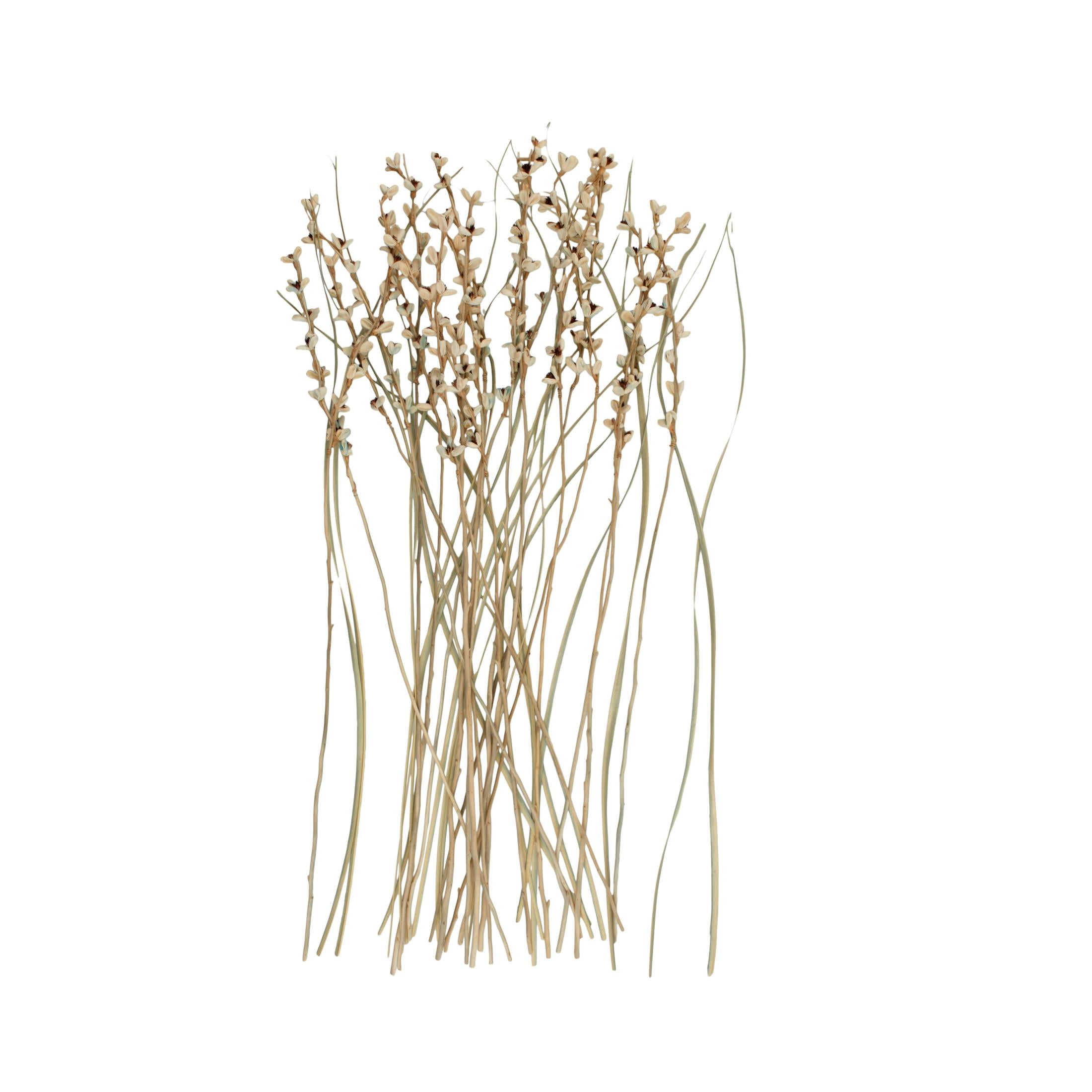41" Tall Floral Bouquet Dried Plant Natural Foliage Branch Bouquet with Brown Stems, by DecMode