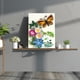 thumbnail image 4 of Cuadros Decorativos Juego de herramientas para filigrana de papel, plantilla de flores de mariposa DIY, pinzas, regla, pluma cónica DQrwqpou Nuevos Originales, 4 of 9