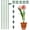 17 inch 5pcs, variant on Plant Stakes for Indoor Plants, Adjustable Plant Support Sticks with Clips & Plant Ties, Indoor Outdoor Garden Poles for Monstera Tomato Orchid Rose Potted Flowers Vegetables (17 inch 5pcs)
