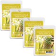 thumbnail image 3 of Scentsationals Cire Fondante, Cubes de Cire Parfum Fort - Chèvrefeuille Ananas - Cire Fondante Parfumée Longue Durée pour Réchauffer, 2.5 oz (Lot de 4), 3 of 4