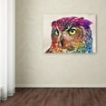 thumbnail image 3 of Trademark Fine Art 'Owl Drowing' Canvas Art by Mark Ashkenazi, 3 of 3