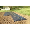 thumbnail image 5 of Agfabric Easy-Plant Weed Block for Raised Bed Outdoor Garden Weed Rugs Garden mat 3.0oz, 4'x12',with Planting Hole Dia 6", 5 of 5