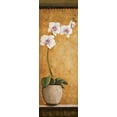 thumbnail image 2 of Susan Osborne 17x44 Gallery Wrapped Canvas Wall Art Titled - Hannas Orchids I, 2 of 4