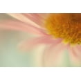 thumbnail image 2 of Stalus, Judy 32x23 White Modern Wood Framed Museum Art Print Titled - Whisper, 2 of 4