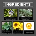 thumbnail image 4 of Promotion Aceites esenciales Elementos esenciales para el hogar Aceite para el cuidado del cuerpo Barrera protectora de la piel Experiencia calmante en las articulaciones Textura l(Buy 2 Save 10%), 4 of 9