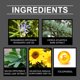 thumbnail image 4 of Clearance Essential oils Essence Oils For Candles Body Care Oil, Skin Protective Barrier, Soothing Joint Experience, Light And Easily Absorbable Texture Reduces Dryness And Rough(buy 2 get 10% off), 4 of 5