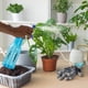 thumbnail image 4 of Fiudx Regadera a Presión, Pulverizador de Plástico de Gran Capacidad, Boquilla de Riego Ajustable, Recarga Fácil de Limpiar, Ideal para Jardinería, Lavado de Autos y Cuidado de Plantas, Uso Doméstico, 4 of 6