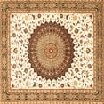 thumbnail image 1 of Ahgly Company Indoor Square Medallion Brown Traditional Area Rugs, 7' Square, 1 of 4