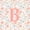 Colorful B, variant on Catabedysis Floral Initial Y 7-Piece Twin Bedding,Kawaii Floral ABC Themed Bedding Comforter Set,Pink Reversible For Girls